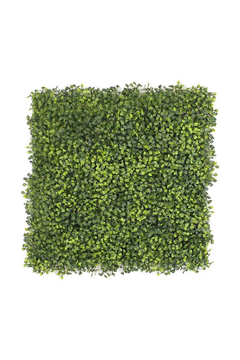 Boxwood Artificial Living Wall per Square Meter [17211]