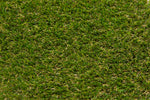 Birch 38 Artificial Grass Per M2